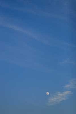 blue sky moon