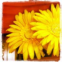 they are flowers, they are pens