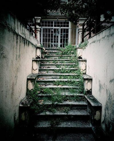 OFF-overgrown-stairs